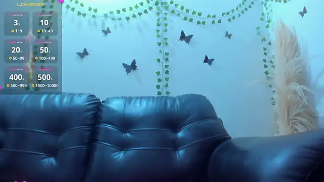 Amani Bakir online show from 19, 1, 2026