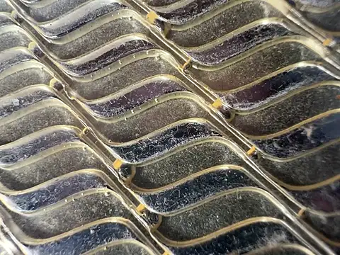 Amarok39 online show from 6, 1, 2025