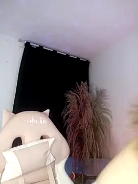 lovely kitt online show from 7, 10, 2025