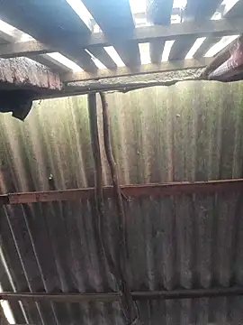 HotSexyBoudi online show from 17, 10, 2025