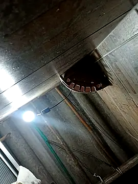 Restrepo300 online show from 3, 10, 2025