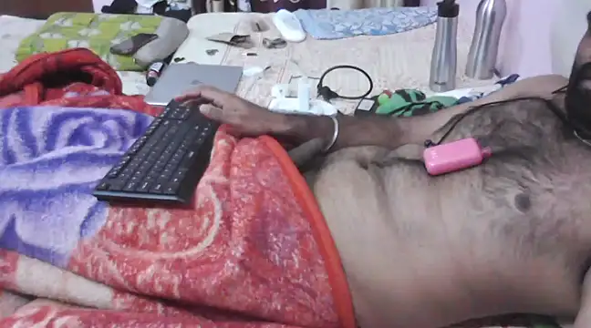 sanik 2428 online show from 16, 1, 2025