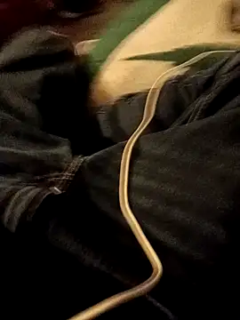 ySqmbVanbe online show from 7, 1, 2026