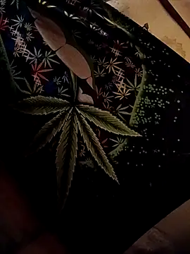 ySqmbVanbe online show from 4, 2, 2026