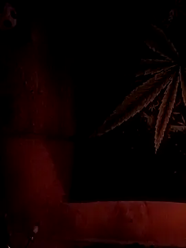 ySqmbVanbe online show from 6, 2, 2026