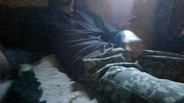 ySqmbVanbe online show from 3, 3, 2026