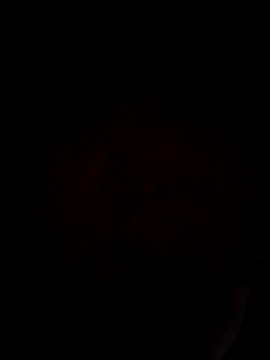 ySqmbVanbe online show from 31, 3, 2026