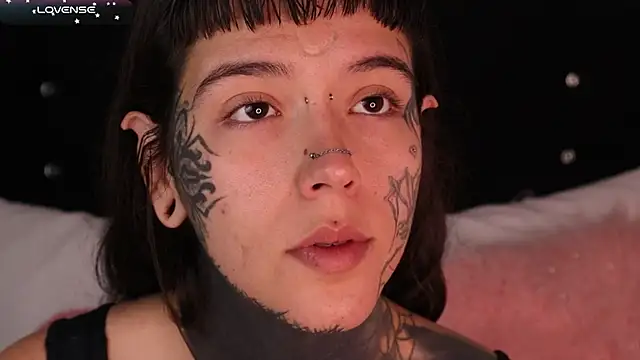 SylveonFox online show from 11, 2, 2025