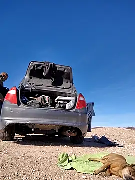 FloppyPickle4u online show from 15, 2, 2025