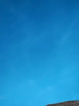 FloppyPickle4u online show from 17, 2, 2025