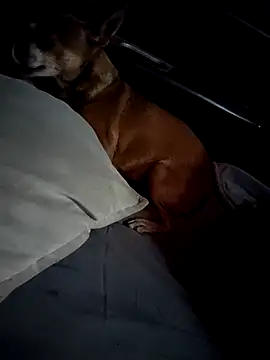 FloppyPickle4u online show from 28, 2, 2025