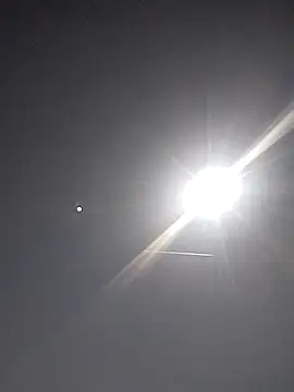 FloppyPickle4u online show from 15, 3, 2025