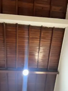 emiss  online show from 5, 2, 2026