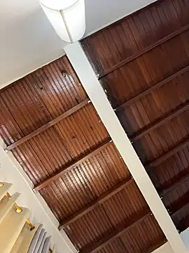 emiss  online show from 1, 4, 2026