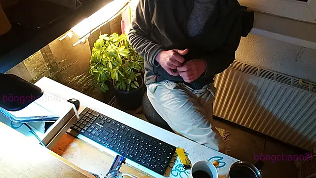 BongChannel online show from 13, 1, 2025