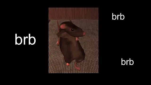 Sam Mystery online show from 13, 2, 2025