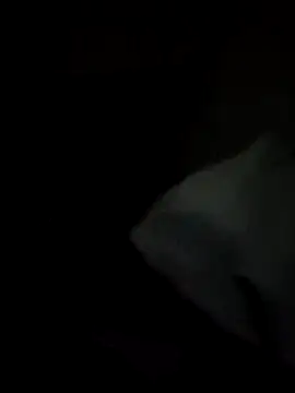 Snapshot of tessafontana37 chatting on 3, 1, 2025 tessafontana37 online show from 3, 1, 2025