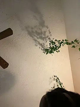 magicalc00ch online show from 25, 1, 2025