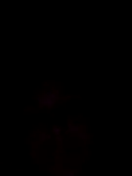 La-barbi online show from 8, 1, 2025