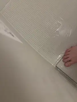 shiro 3 online show from 14, 2, 2026