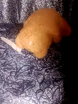 shuhana  online show from 21, 1, 2025