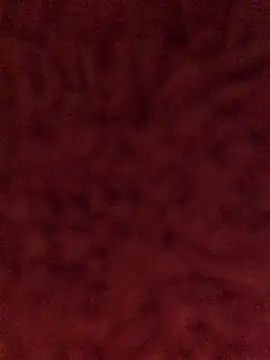 Kiss me2507 online show from 8, 12, 2024