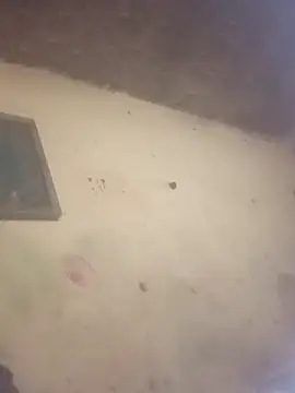 sexlockoxxx online show from 11, 1, 2026