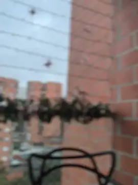 ValerieHilton online show from 27, 12, 2024