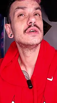 cek 186 online show from 4, 2, 2025