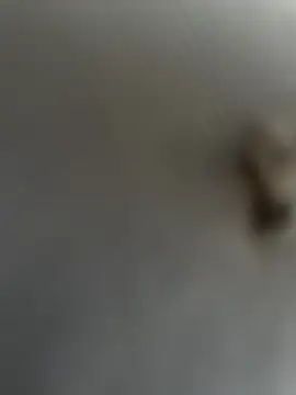 eveangelll online show from 22, 3, 2025