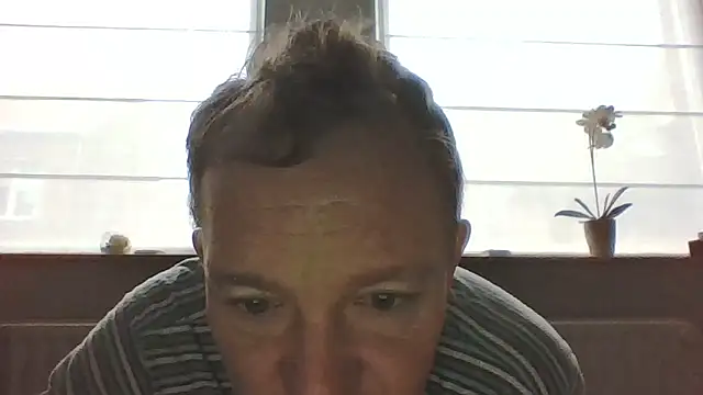 bertolini online show from 13, 2, 2026