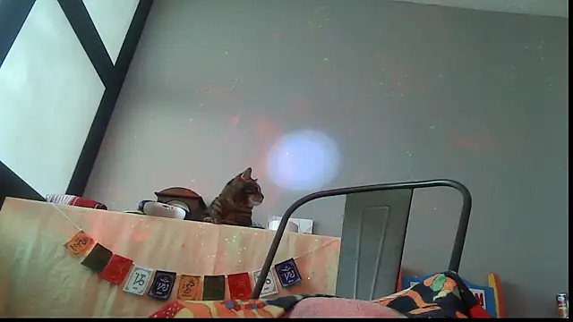 SexWorkerX online show from 24, 2, 2026