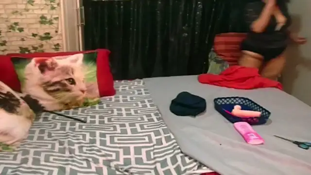 Indian Blaze00 online show from 22, 3, 2025