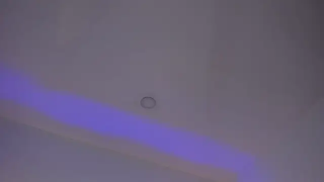 Mara Betancurt online show from 2, 3, 2025