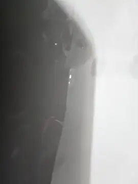 gordito xx online show from 22, 2, 2025