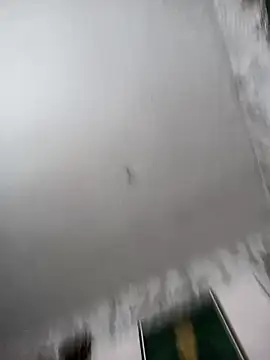 biancchi online show from 20, 2, 2026