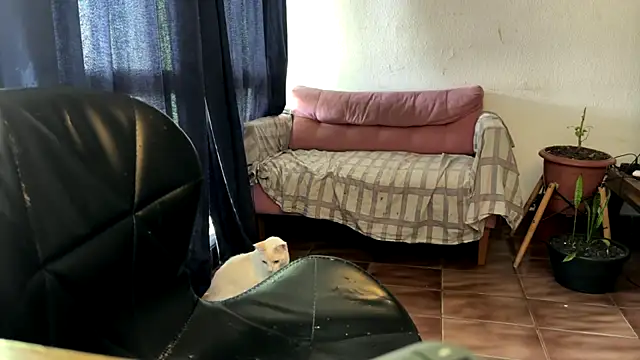 gerson173Hugo online show from 7, 1, 2026