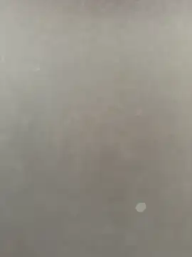 Syka0001 online show from 14, 2, 2026