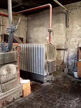 MityaXLoves online show from 7, 10, 2025