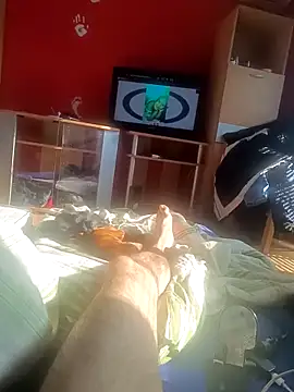 Boki7799 online show from 15, 11, 2025