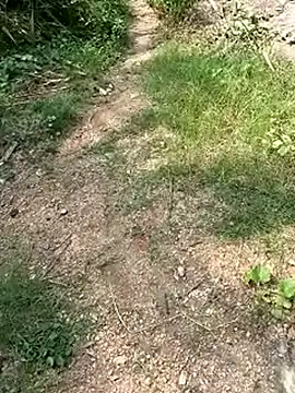 Snapshot of TamizhanKishwin7 chatting on 9, 11, 2025 TamizhanKishwin7 online show from 9, 11, 2025