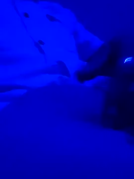 montereal1212 online show from 2, 12, 2024