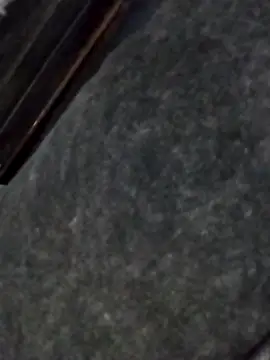 nicedick bro online show from 19, 9, 2025