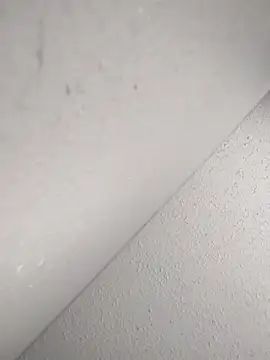 mastbacio online show from 20, 11, 2025