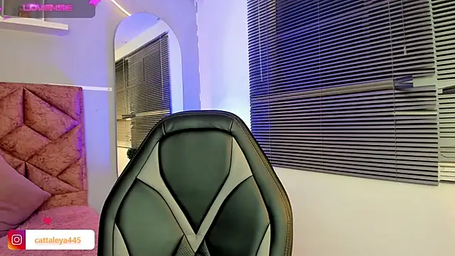 cattaleya    online show from 8, 2, 2025