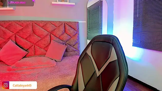 cattaleya    online show from 15, 2, 2025