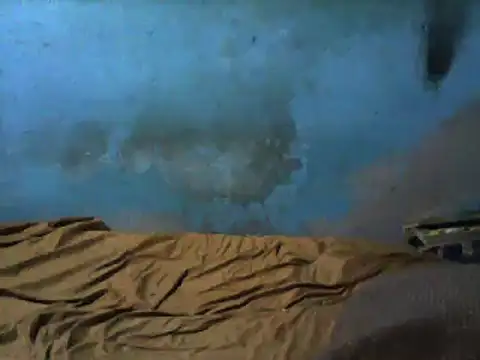 Snapshot of little__joy chatting on 1, 3, 2025 little  joy online show from 1, 3, 2025