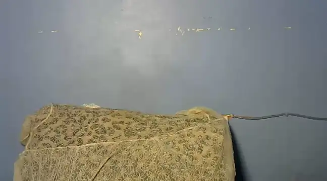 Snapshot of shishbabe chatting on 4, 3, 2025 shishbabe online show from 4, 3, 2025