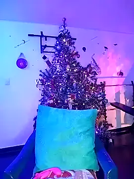 pleasure and fantasy online show from 31, 12, 2024