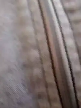 pleasure and fantasy online show from 8, 1, 2025